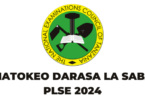 NECTA Matokeo ya Darasa la Saba PLSE 2024/2025