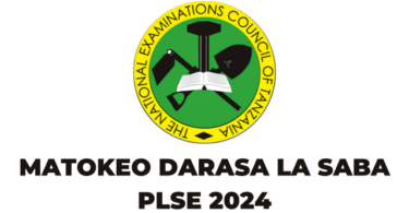 NECTA Matokeo ya Darasa la Saba PLSE 2024/2025