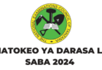 NECTA Matokeo ya Darasa la Saba 2024/2025 PSLE