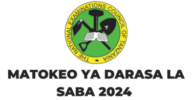 NECTA Matokeo ya Darasa la Saba 2024/2025 PSLE