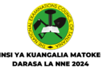 Jinsi ya Kuangalia Matokeo ya Darasa la Nne 2024-2025