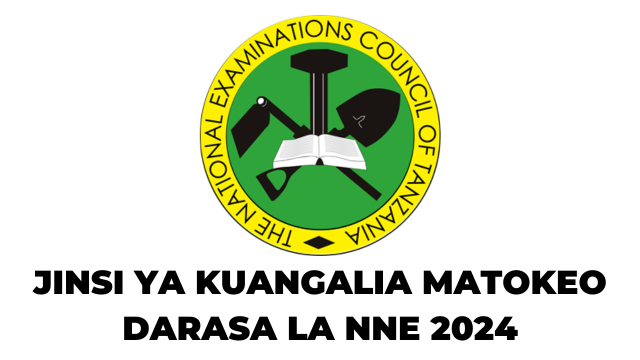 Jinsi ya Kuangalia Matokeo ya Darasa la Nne 2024-2025