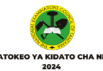 NECTA Matokeo ya Kidato cha Nne 20242025 Form Four CSEE Results