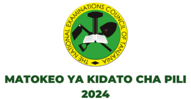 NECTA Matokeo ya Kidato cha Pili 20242025 FTNA Form Two Results 2024