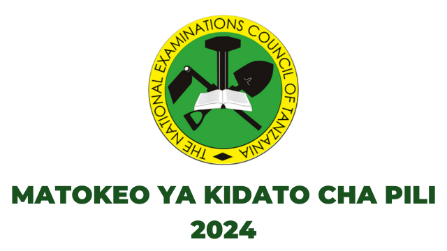 NECTA Matokeo ya Kidato cha Pili 20242025 FTNA Form Two Results 2024