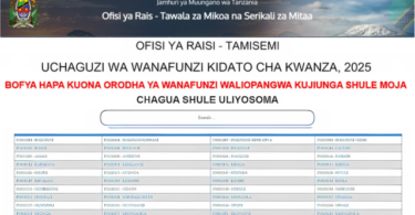 Shule Walizopangiwa Darasa la Saba 2024/2025 Waliochaguliwa Kidato Cha Kwanza 2025